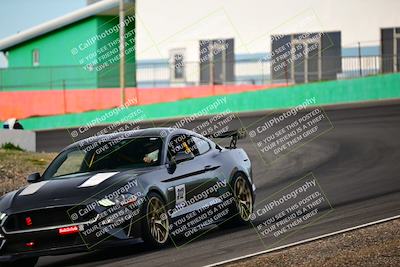 media/Feb-25-2024-Speed Ventures (Sun) [[b9a2a97a4d]]/Mustang Drivers Club/Session 1 (Turns 4 and 5)/